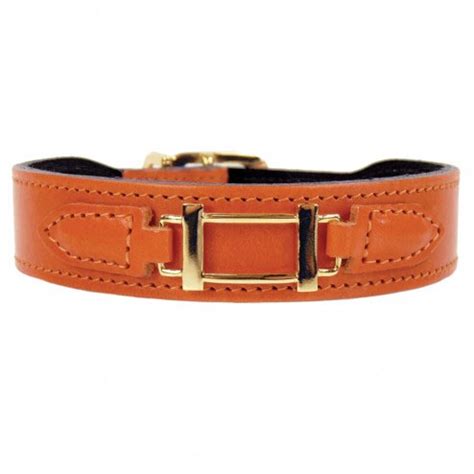 hermes hond|hermes dog collars 2024.